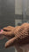 Exfoliator Glove Set